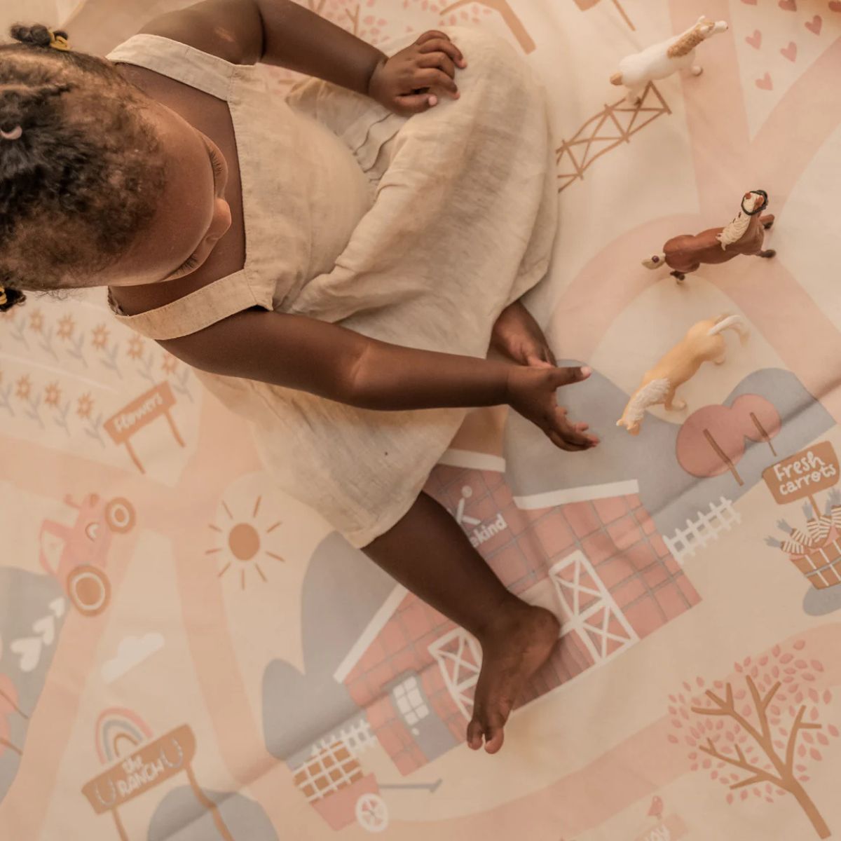 2-in-1 Playmat & Toy Bag Playsack