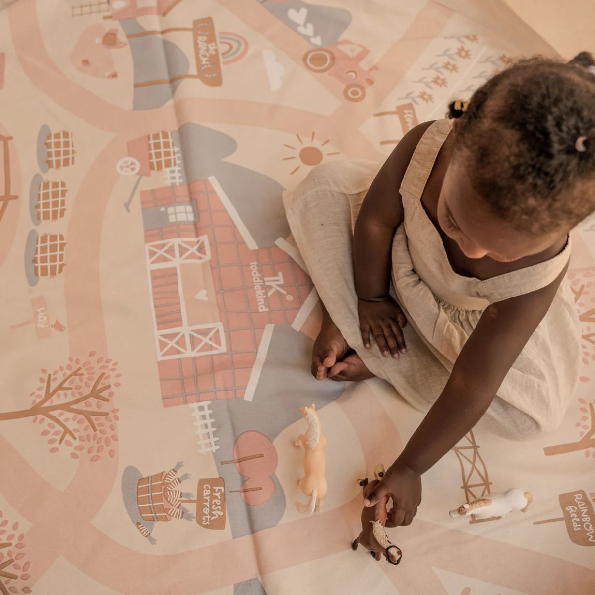 2-in-1 Playmat & Toy Bag Playsack