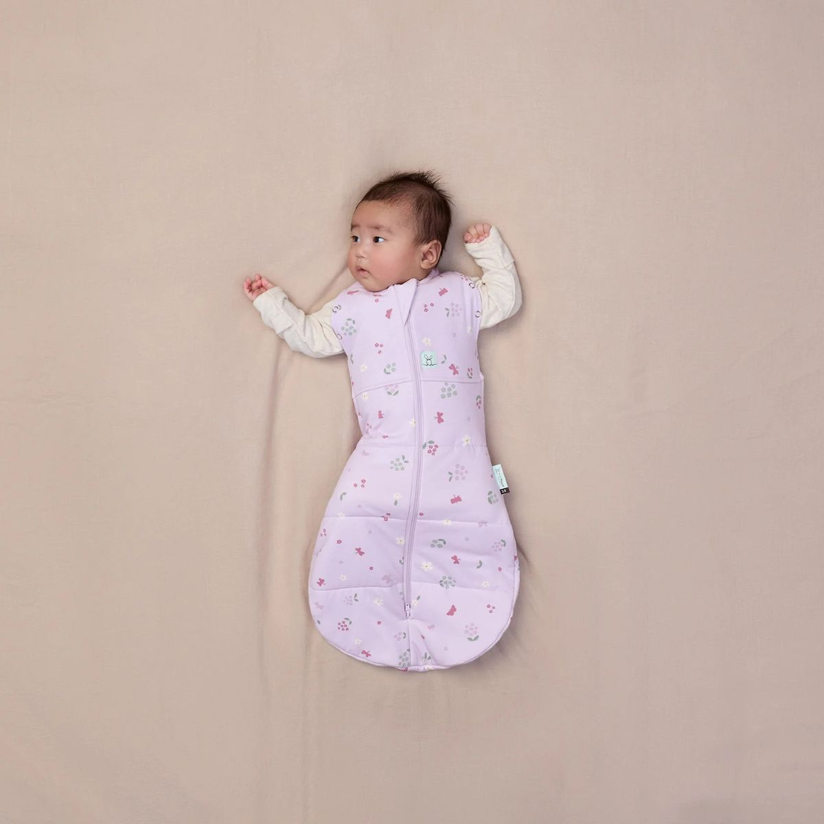 Cocoon Swaddle Bag 2.5 TOG (3-6M)