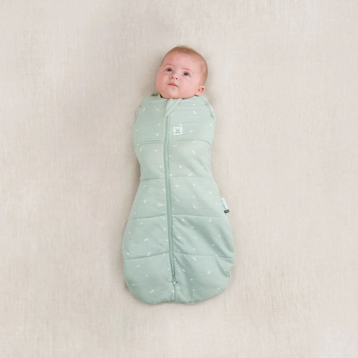 Cocoon Swaddle Bag 2.5 TOG (3-6M)