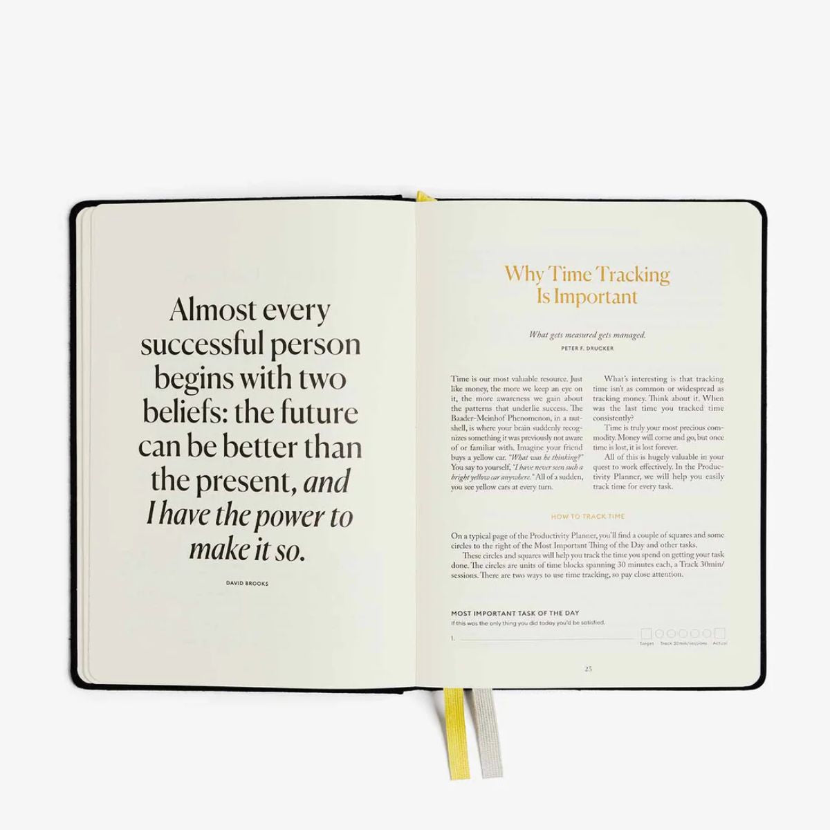 Productive Mind Bundle