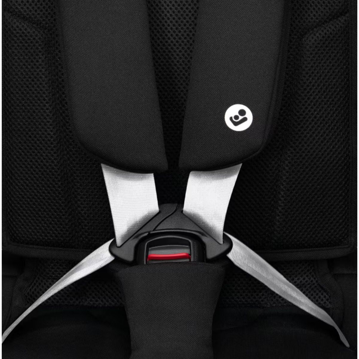 Nomad XL Plus