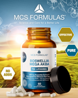 Boswellia MEGA AKBA Liposomal, 60 Caps